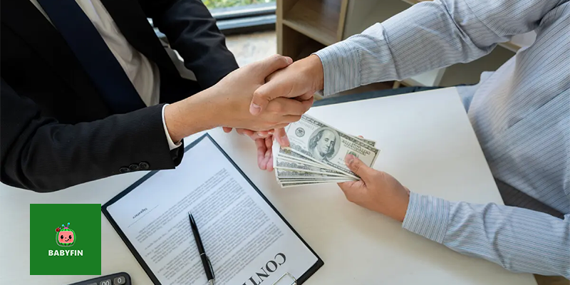 vay-nhanh-babyfin.png